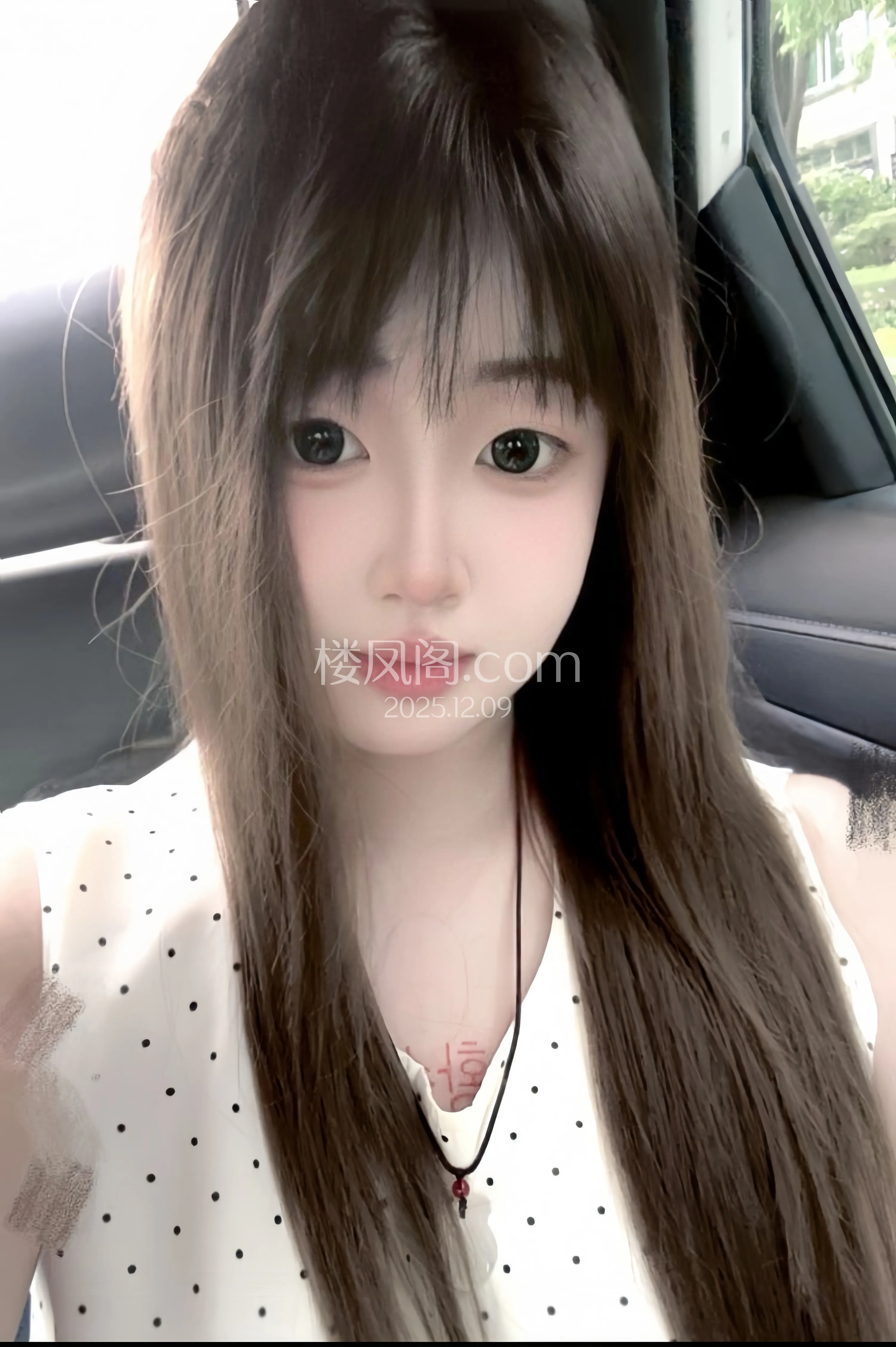 全国免费楼凤资源