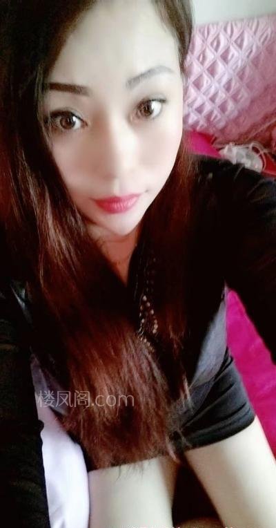 全国免费楼凤资源