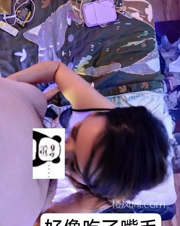 全国免费楼凤资源