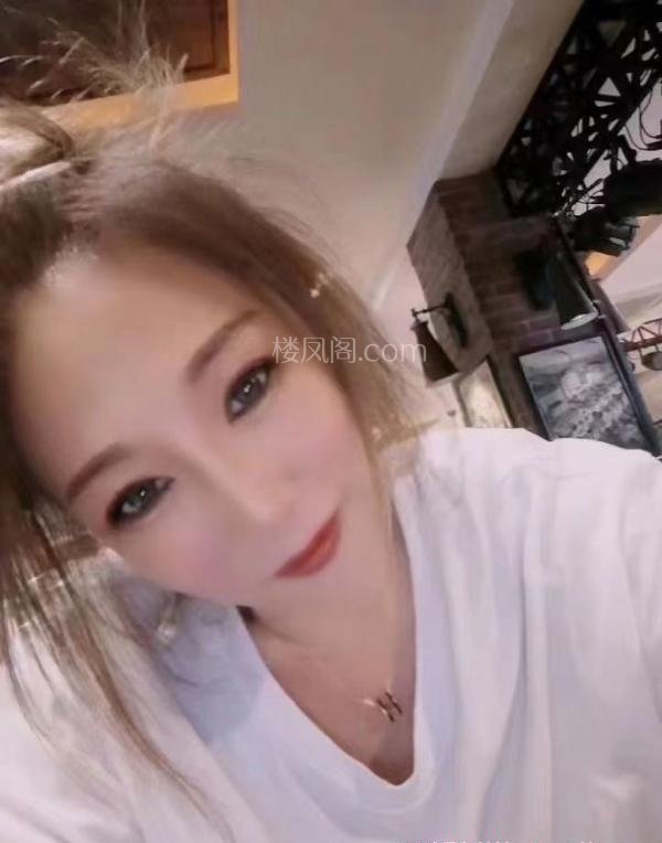 全国免费楼凤资源