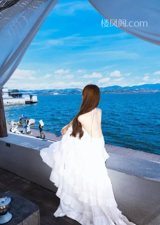 全国免费楼凤资源