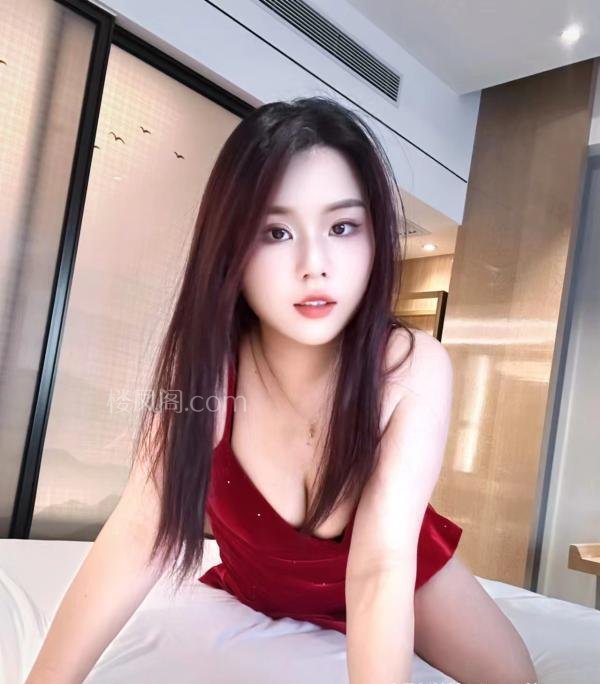 全国免费楼凤资源