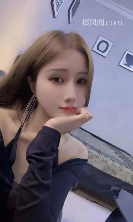 全国免费楼凤资源