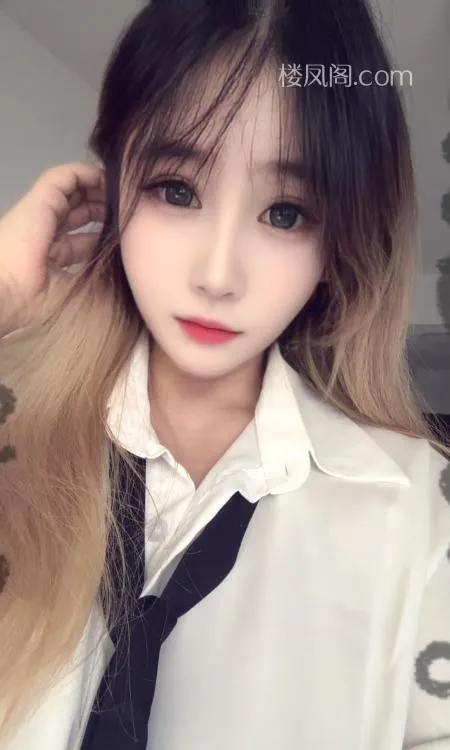 全国免费楼凤资源