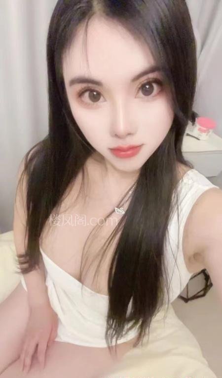 全国免费楼凤资源