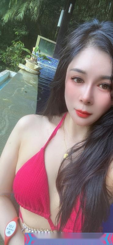 全国免费楼凤资源