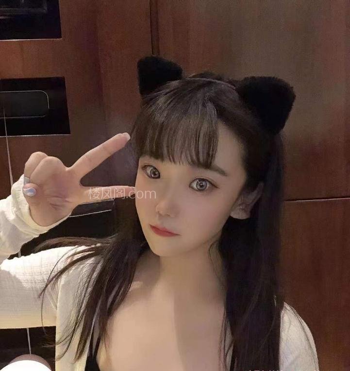 全国免费楼凤资源