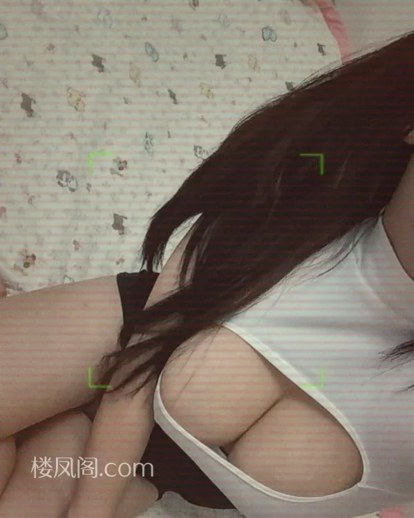 全国免费楼凤资源