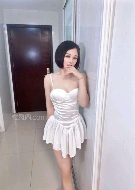 全国免费楼凤资源