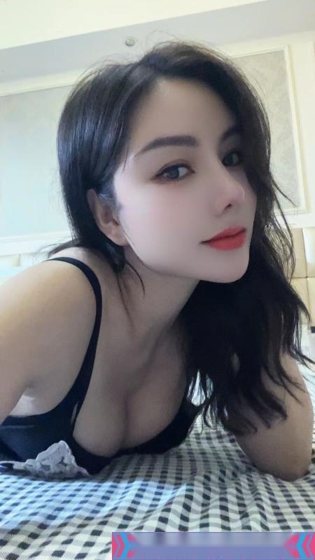 全国免费楼凤资源