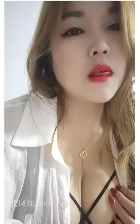 全国免费楼凤资源