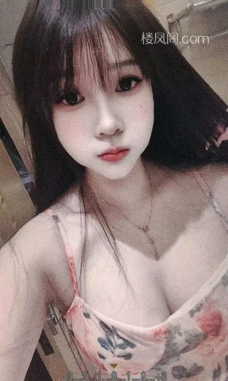 全国免费楼凤资源