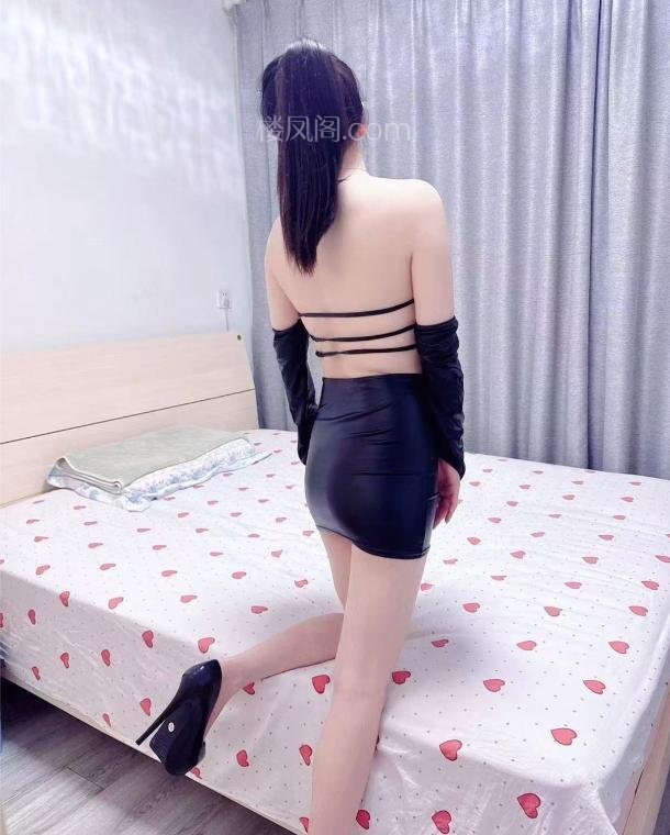 全国免费楼凤资源