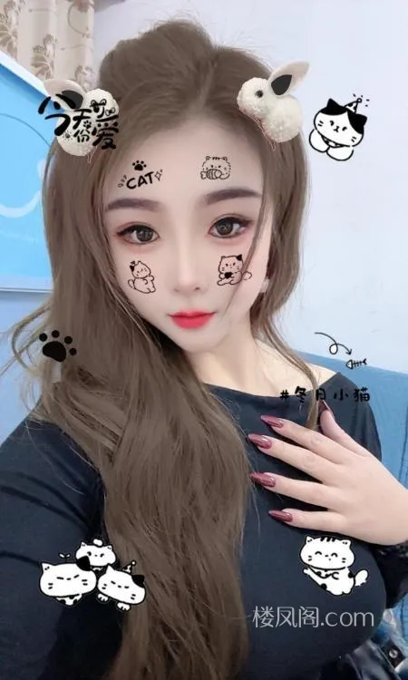 全国免费楼凤资源