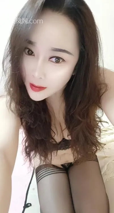 全国免费楼凤资源