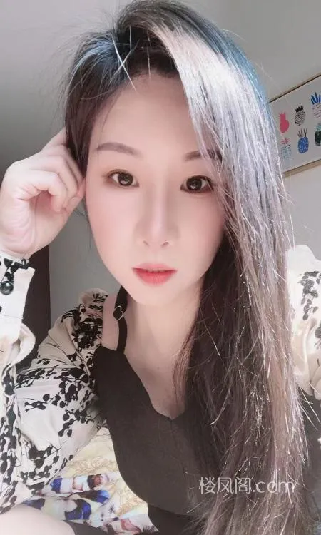 全国免费楼凤资源