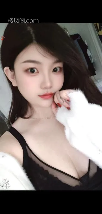 全国免费楼凤资源