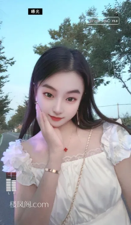 全国免费楼凤资源