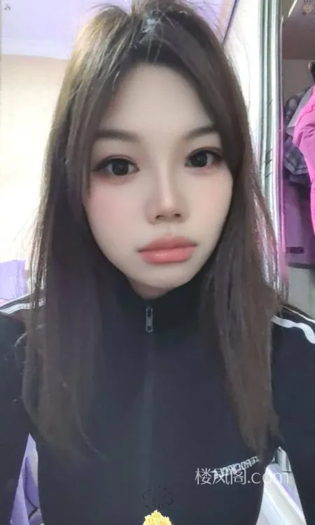 全国免费楼凤资源