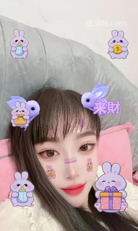 全国免费楼凤资源