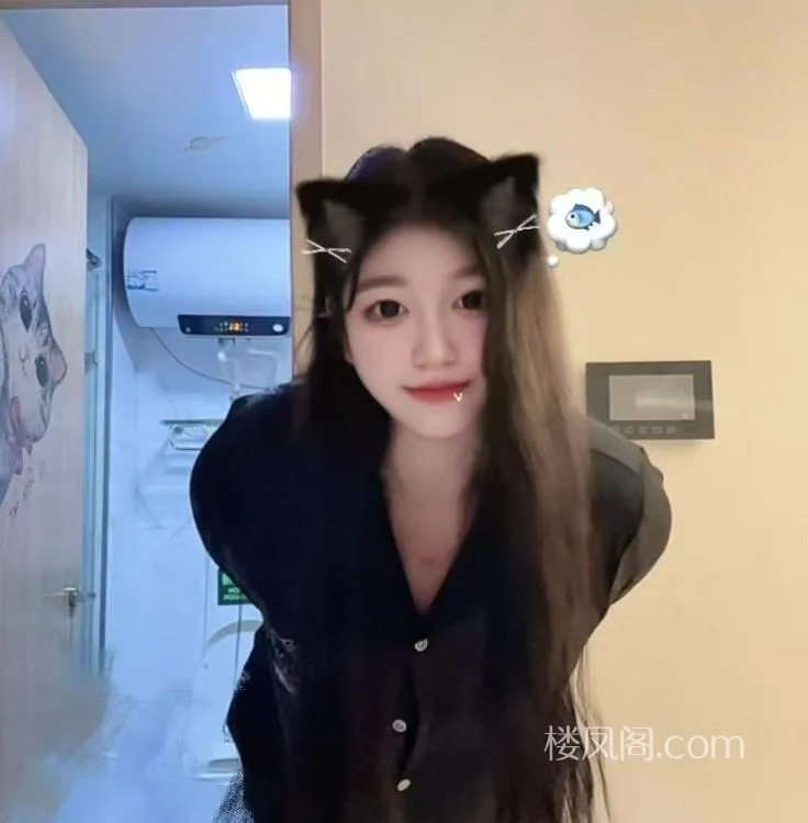 全国免费楼凤资源