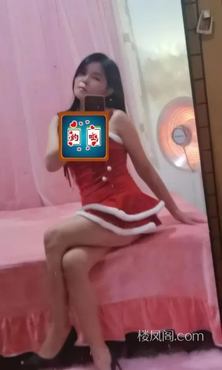 全国免费楼凤资源