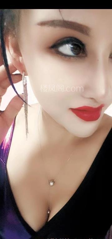 全国免费楼凤资源