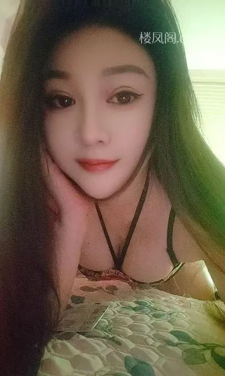 全国免费楼凤资源