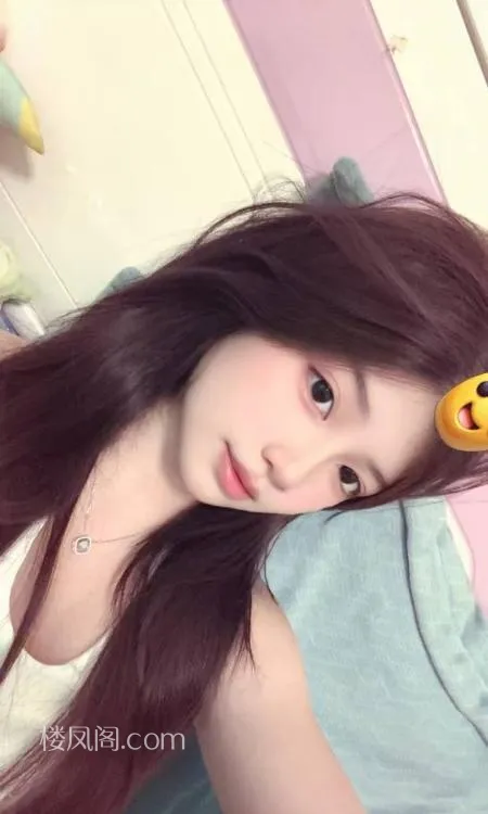 全国免费楼凤资源