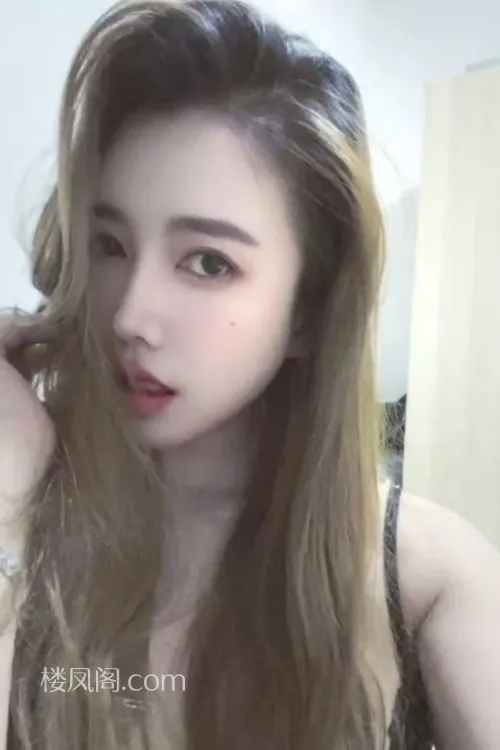 全国免费楼凤资源