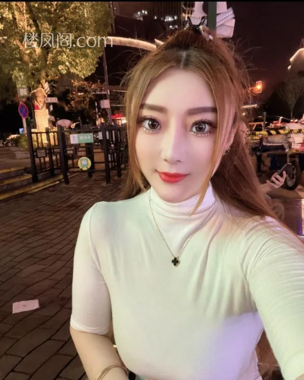 全国免费楼凤资源