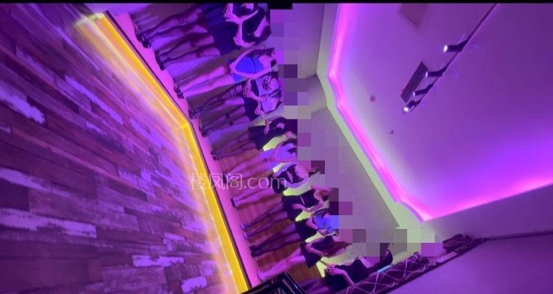 全国免费楼凤资源