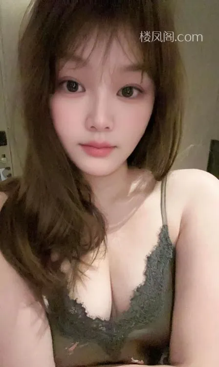 全国免费楼凤资源