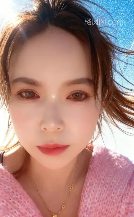 全国免费楼凤资源