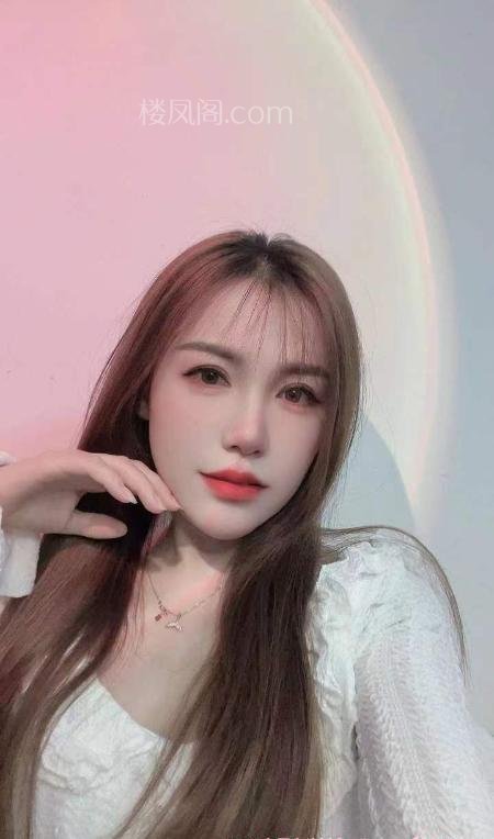 全国免费楼凤资源