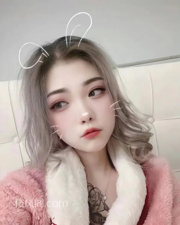 全国免费楼凤资源