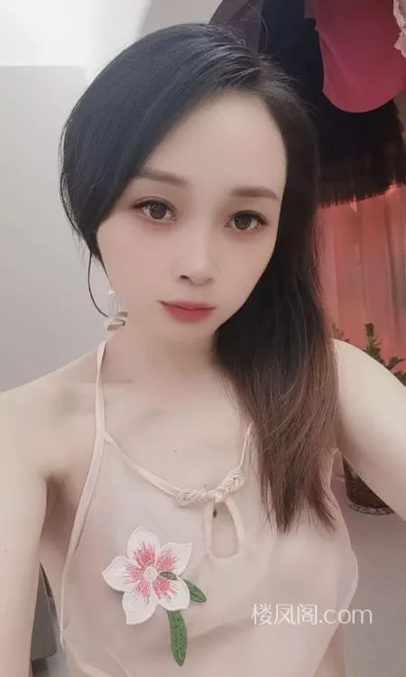 全国免费楼凤资源