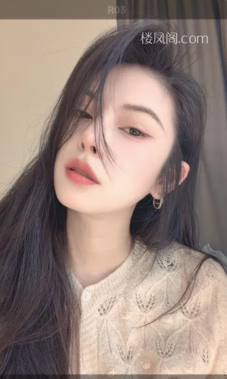 全国免费楼凤资源