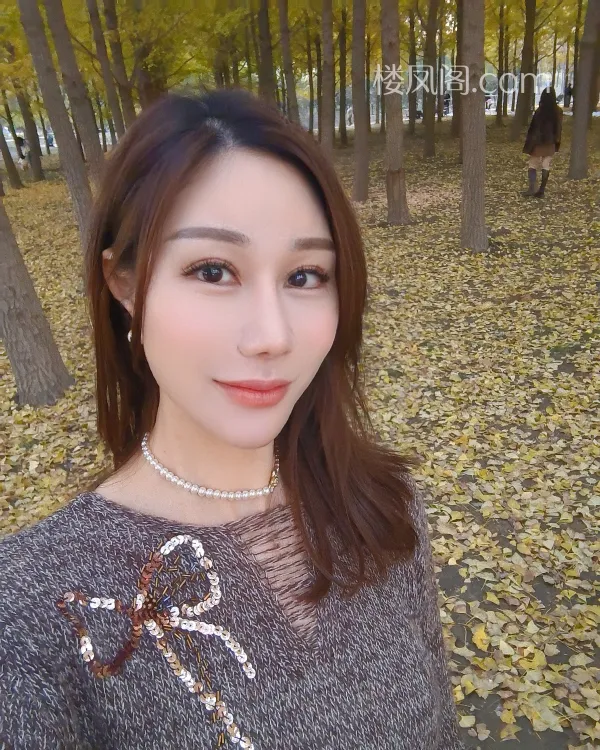 全国免费楼凤资源