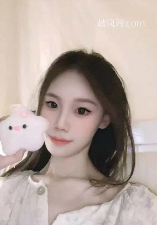 全国免费楼凤资源