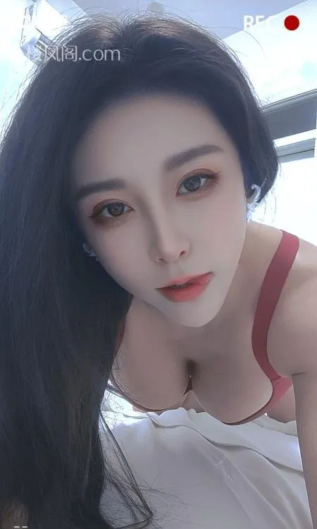 全国免费楼凤资源