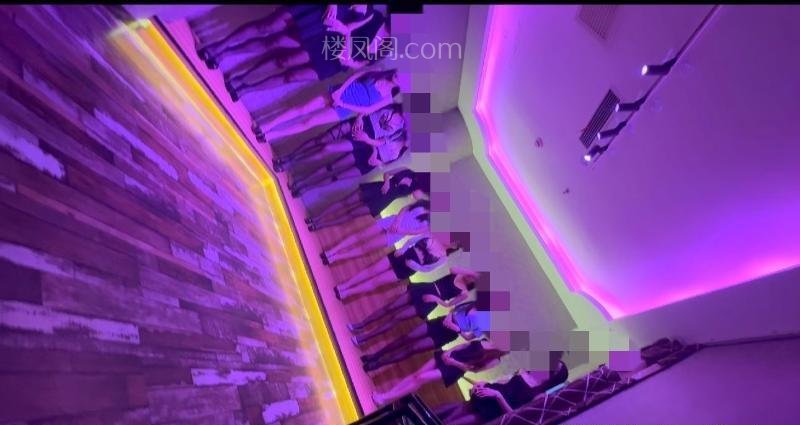 全国免费楼凤资源