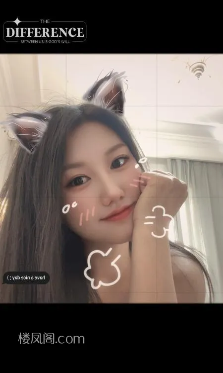 全国免费楼凤资源