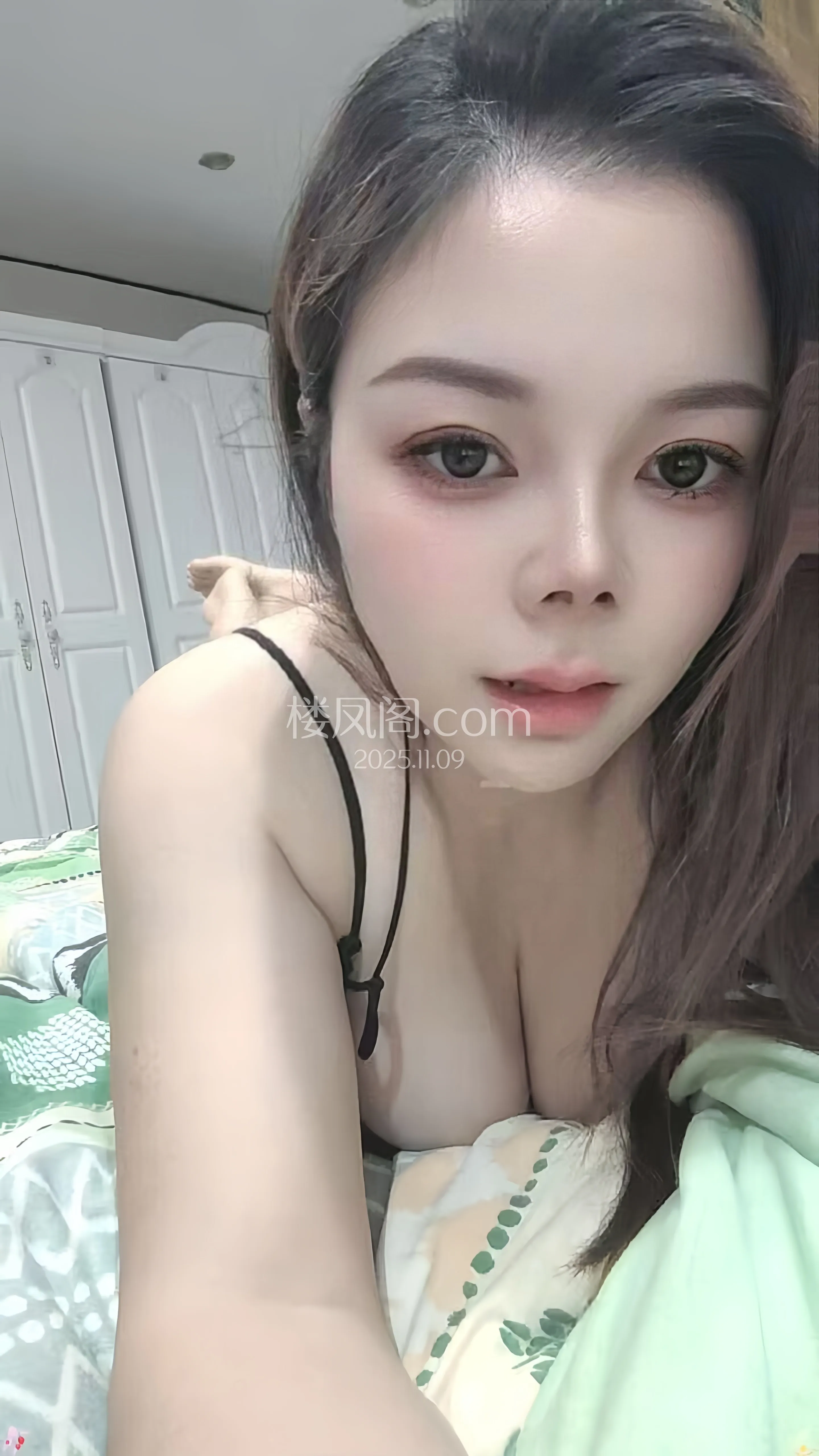 全国免费楼凤资源