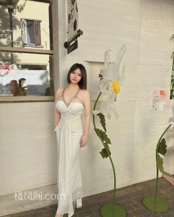 全国免费楼凤资源