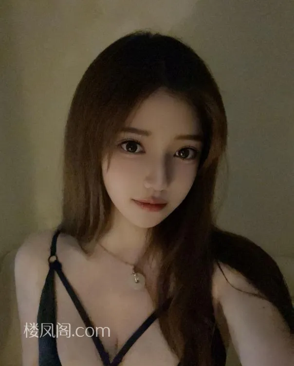 全国免费楼凤资源