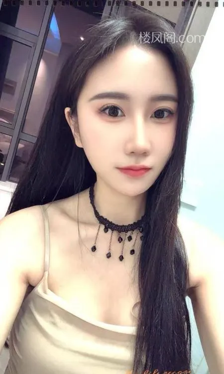 全国免费楼凤资源