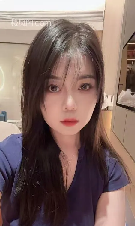 全国免费楼凤资源