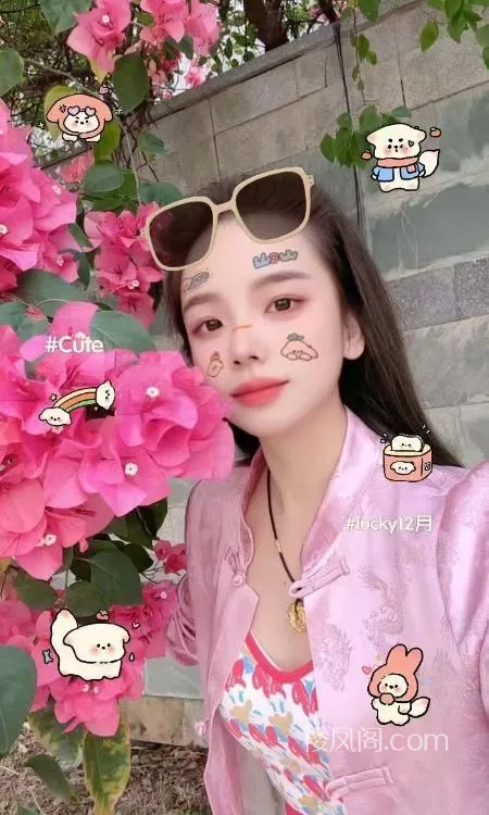 全国免费楼凤资源