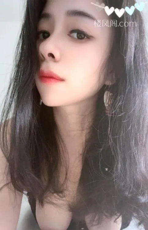 全国免费楼凤资源